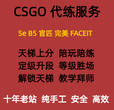 CSGO代练完美世界天梯上分定级赛5E代打cs2官匹定位胜场陪玩陪练