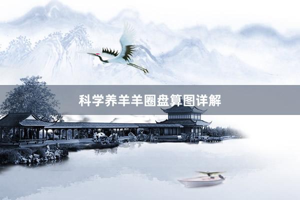 科学养羊羊圈盘算图详解