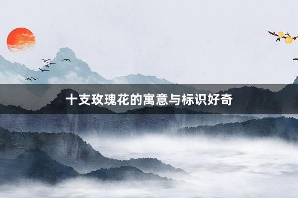 十支玫瑰花的寓意与标识好奇